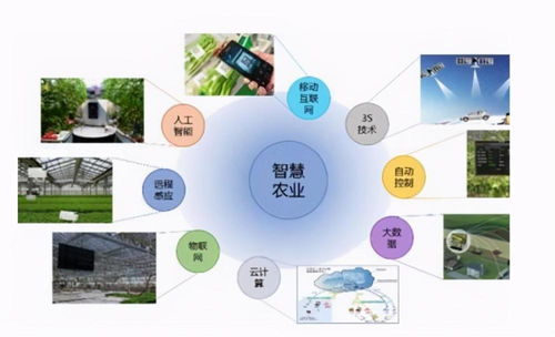 智慧農(nóng)業(yè)中的數(shù)據(jù)處理服務(wù) 賦能現(xiàn)代農(nóng)業(yè)的四大關(guān)鍵點(diǎn)