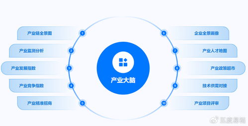 產(chǎn)業(yè)大腦 以數(shù)據(jù)處理服務(wù)全面賦能區(qū)域經(jīng)濟治理